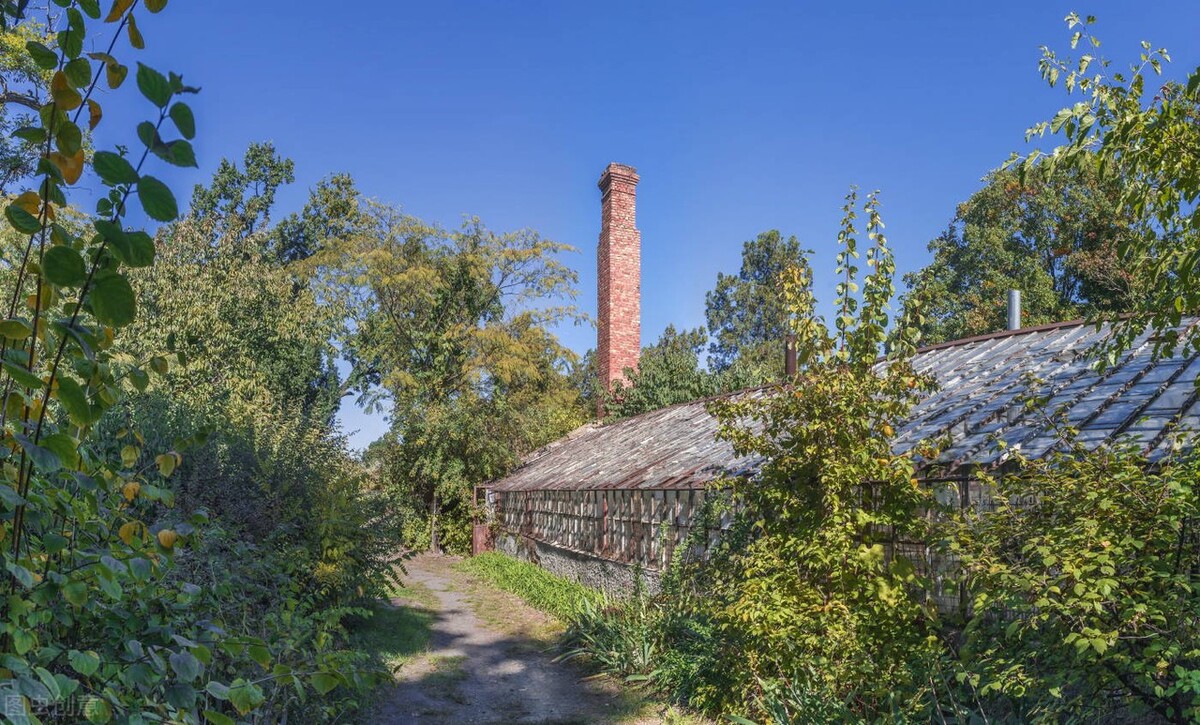 你能给他们什么帮助,及时给予帮助