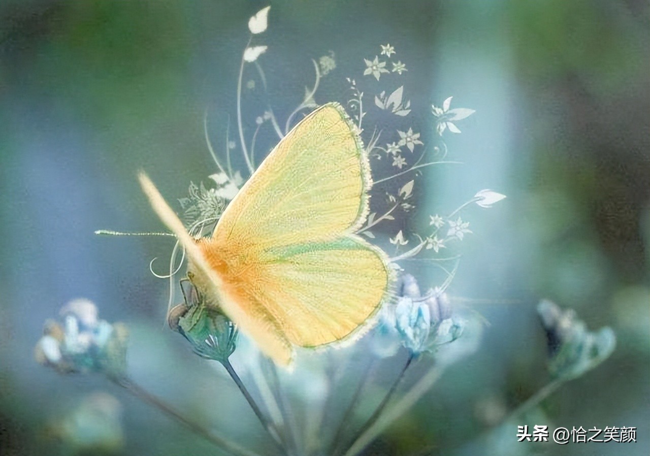 自省自律和自洽是人生的三次觉醒,人生成功在于不断的自省