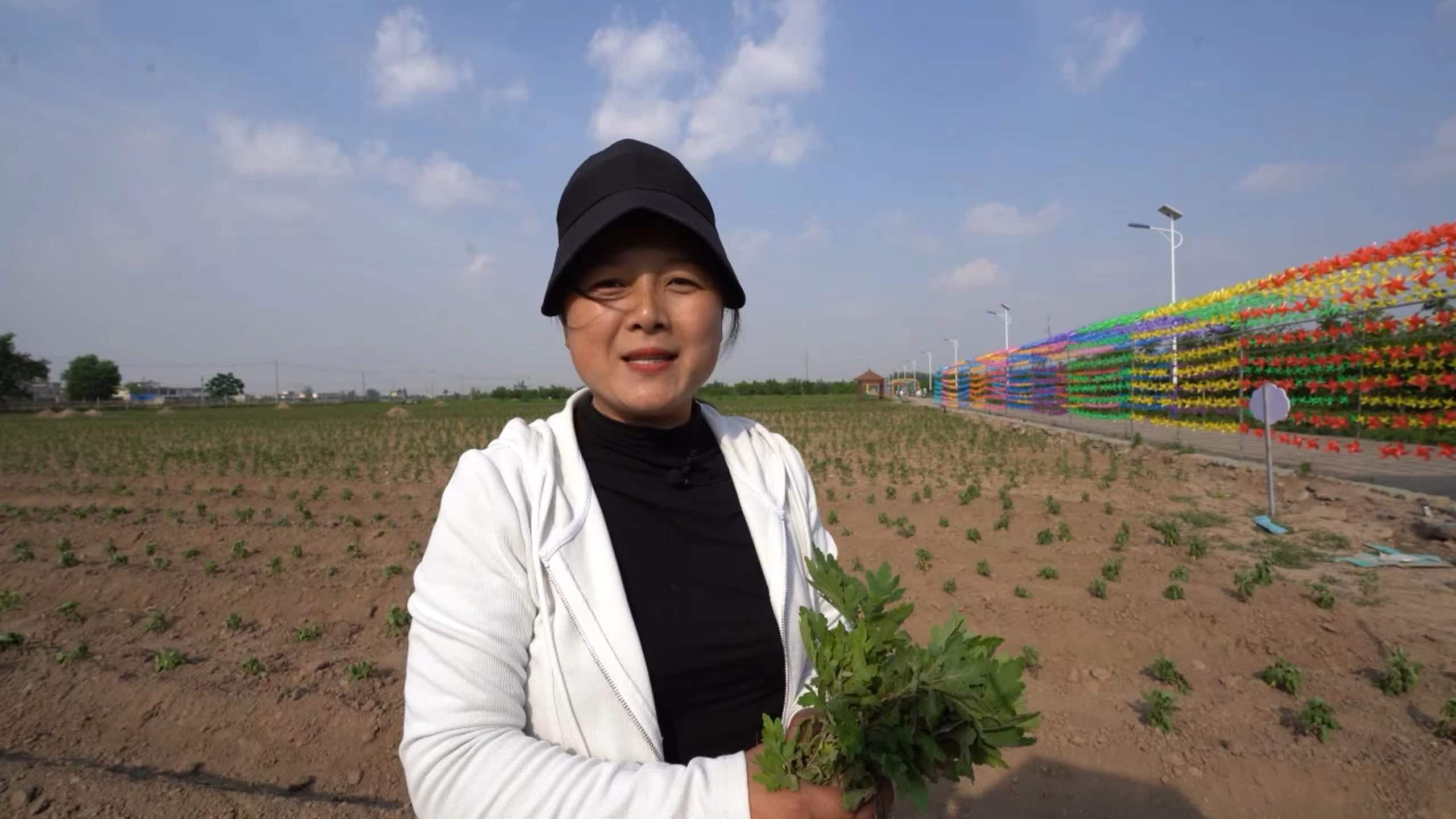 胡文华:发展中草药种植带领群众增收致富