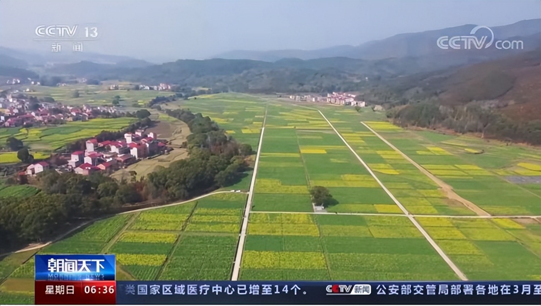 赞!赞!赞!央视《新闻联播》综合头条,《新闻直播间》单条……