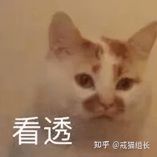 13款热门猫咪主食罐测评红黑榜,最良心的国产猫主食罐推荐