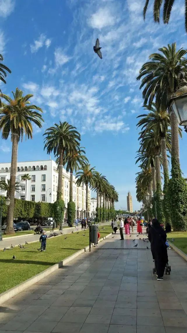 摩洛哥:一个最不像非洲的非洲国家