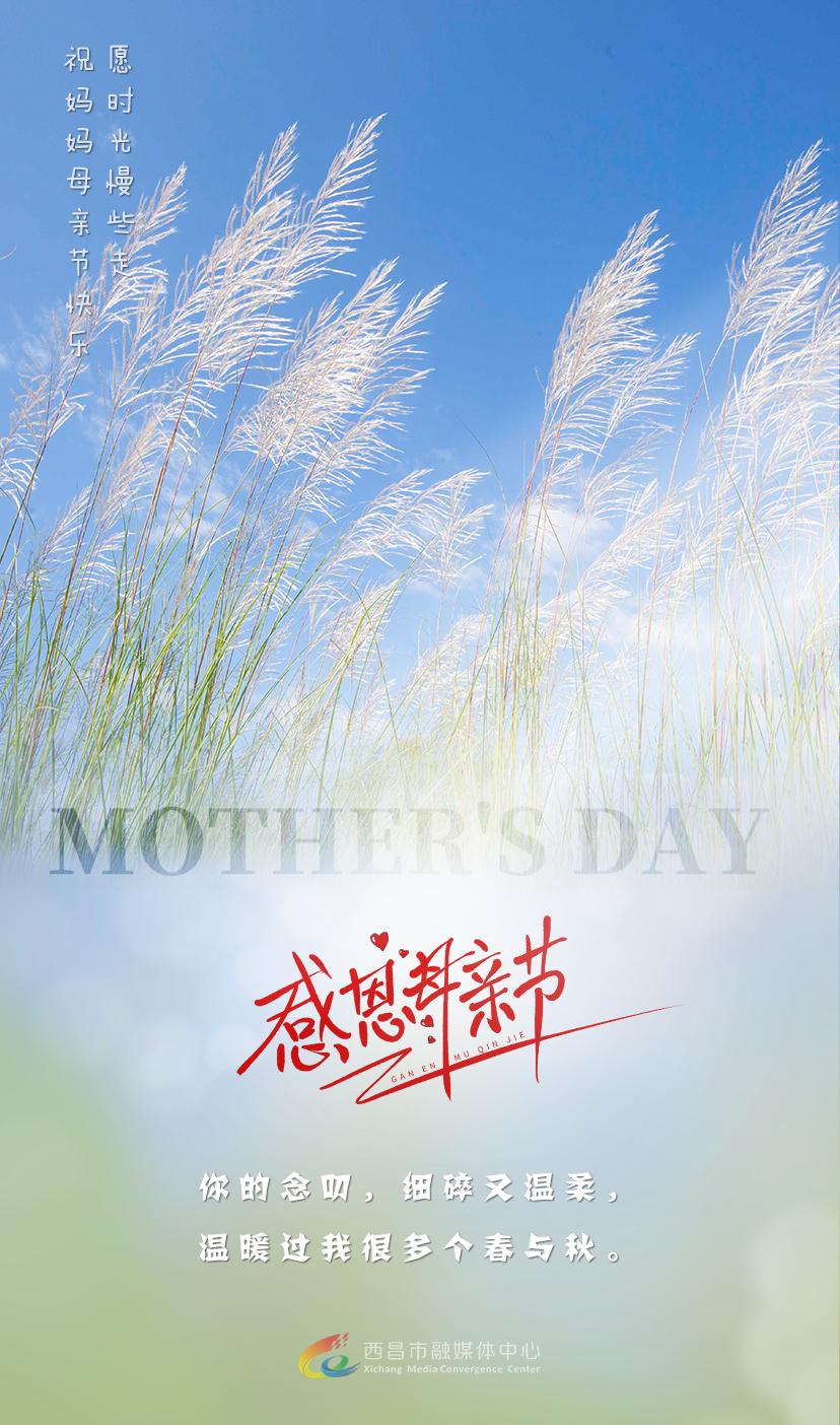 母亲节海报牛奶,母亲节海报