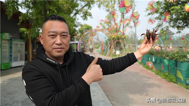 斑竹园板块怎么样,斑竹园最新活动轨迹