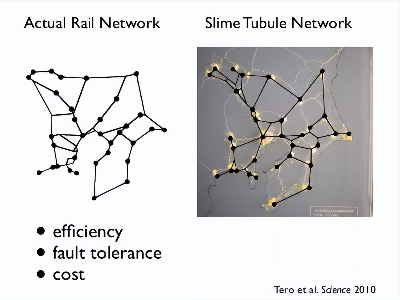不用花钱就能买到小型电脑,如何买到适合自己的电脑