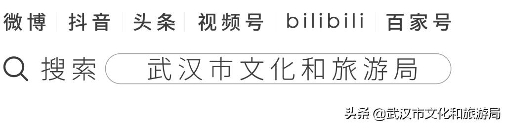武汉自己的音乐节有多好玩,武汉8月音乐节