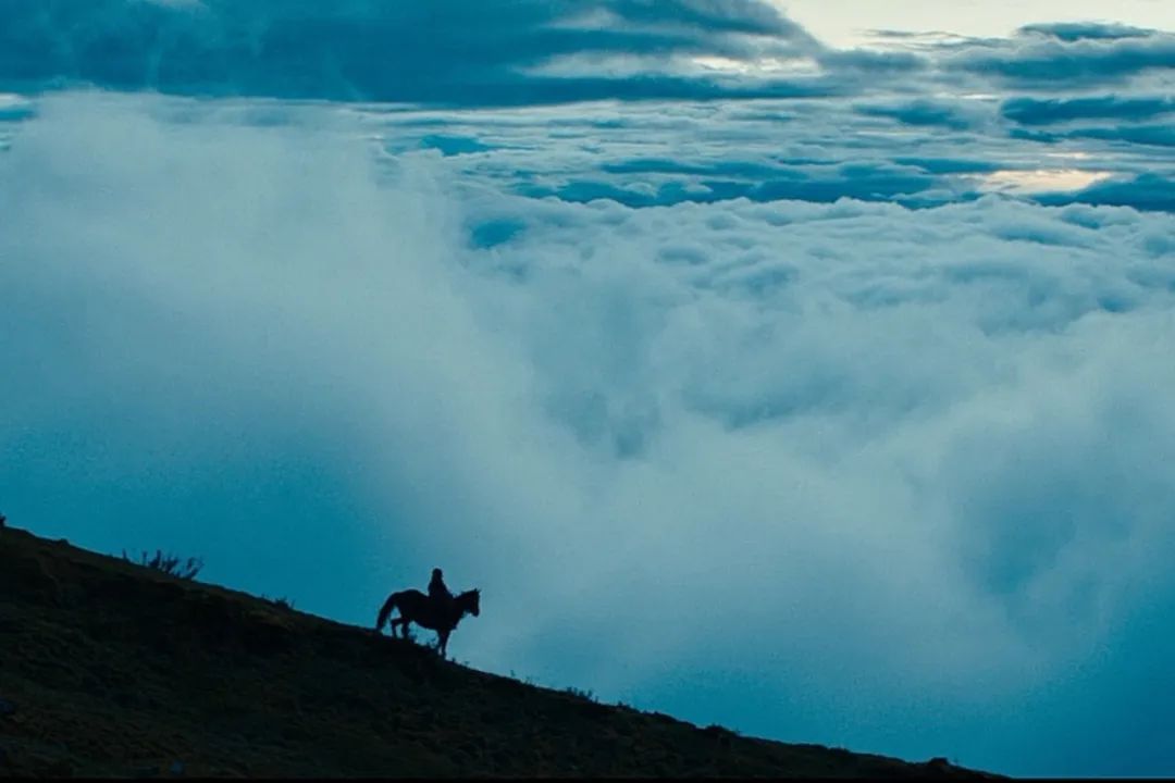 拼多多的崛起黄峥的错位竞争逻辑,黄峥卸任后拼多多发展方向