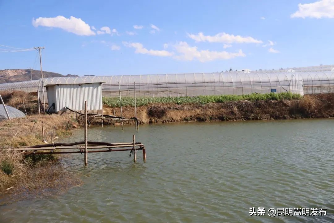 嵩明永生花店 (嵩明永生花)