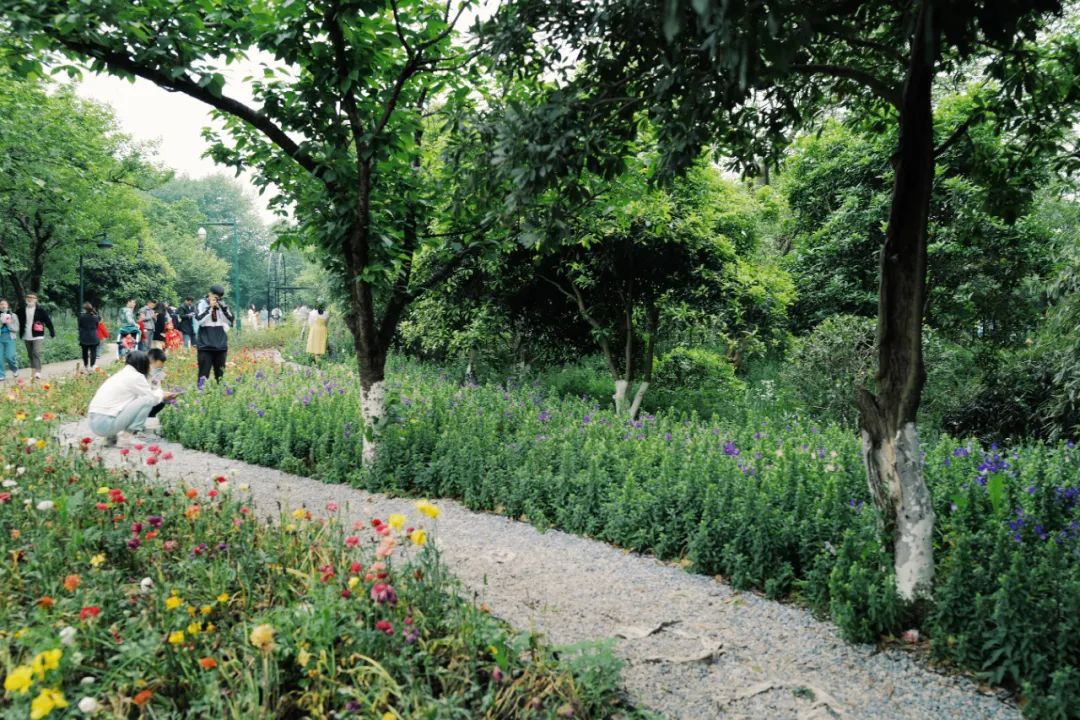 春天的潺潺溪水,春天的顶流