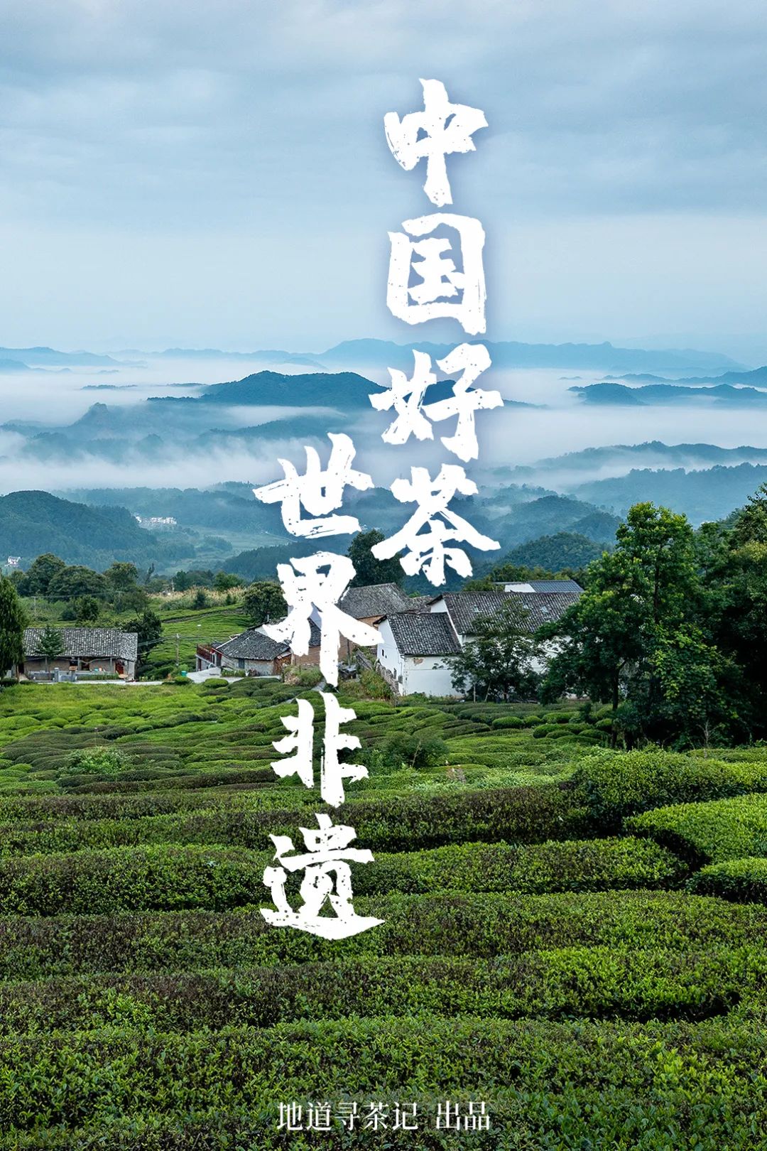 我国哪种传统艺术第一个入选非遗,中国非遗成功的有22项