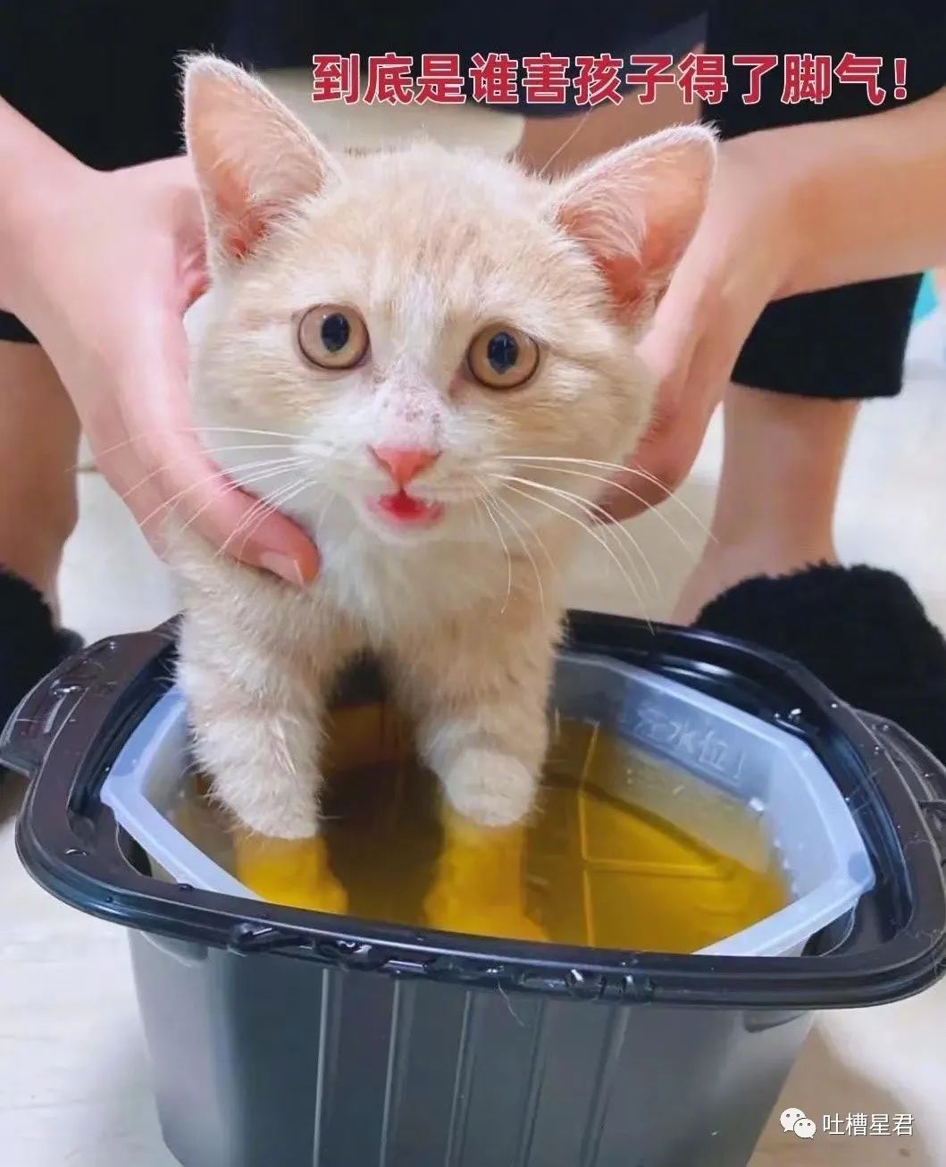 千万不要乱起淘宝名字,千万不要随便起淘宝名