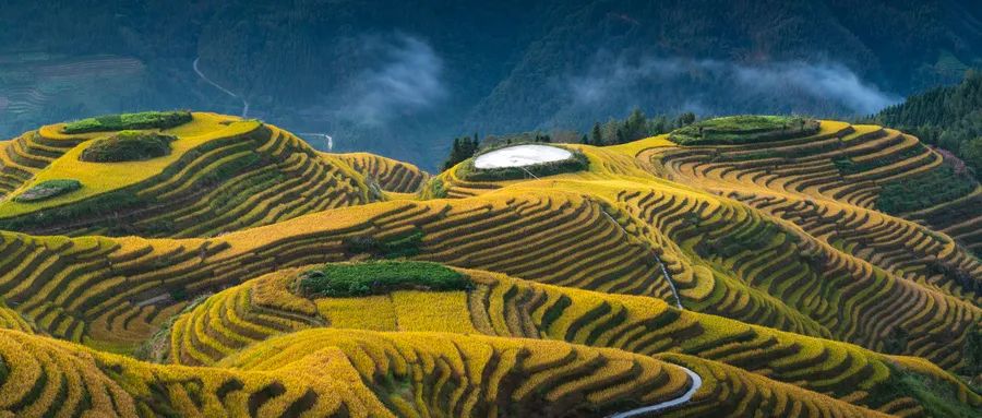 黄山龙年属龙免费的景点,名字里带龙和属龙的免费旅游景区