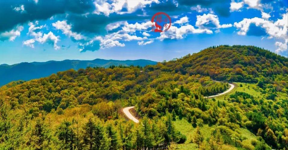 庄浪方言妹妹怎么说,甘肃庄浪方言你真好看