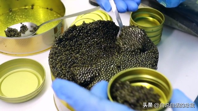 从2亿年不进化的王者，到比黄金还贵的食物，背后隐藏着商业秘密