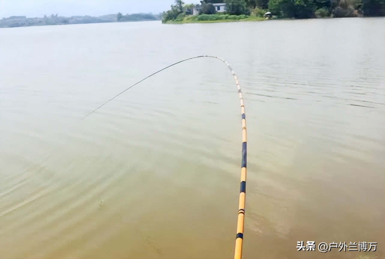 哪一款5米4并继竿不那么重头,并继竿1000内选择国产还是进口