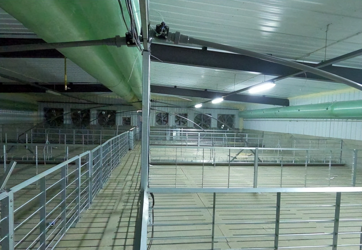 加盟养猪场多少钱,加盟合作养猪场