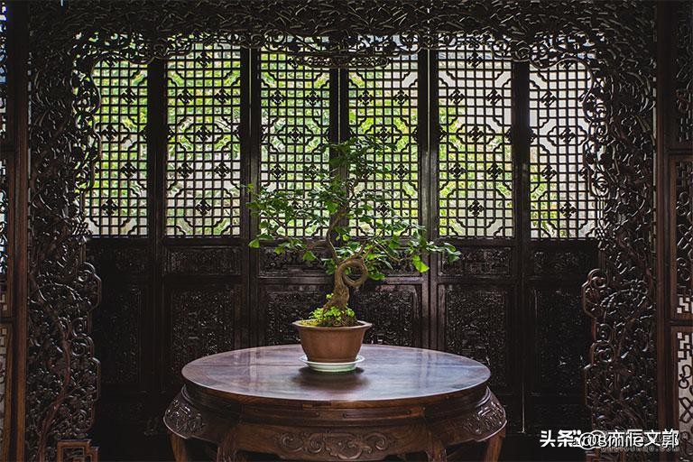 苏州最好玩的旅游景点,苏州最好玩的地方旅游景点