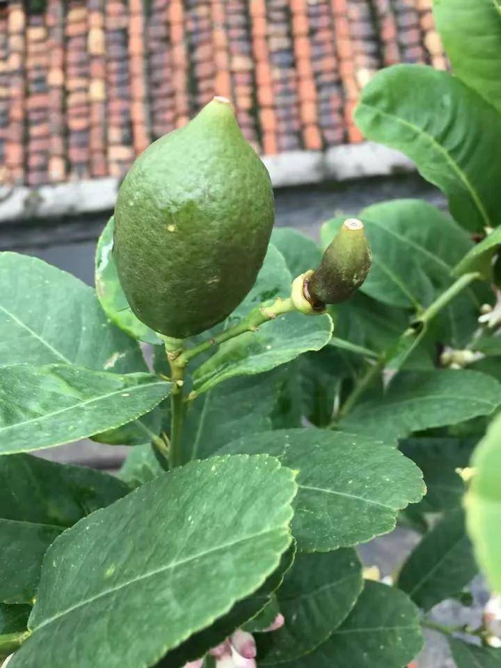 如何花最少的钱改造出租屋,怎样花最少的钱布置出租房