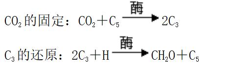 高中生物细胞代谢产生什么物质,高中生物细胞代谢视频