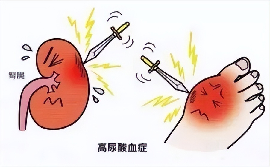 碱化尿液的中草药,能碱化尿液的抗酸药