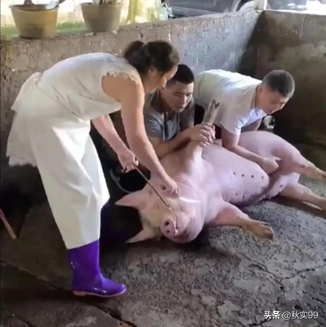 做个女屠夫,38岁女子干了14年屠夫每个月赚3万