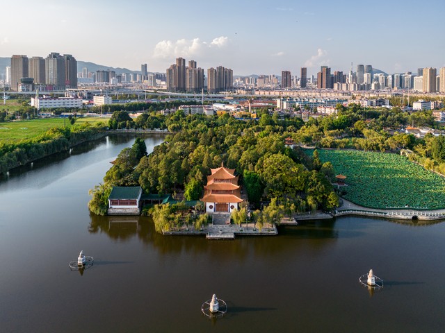 云南旅游推荐的普洱茶,普洱茶云南之旅