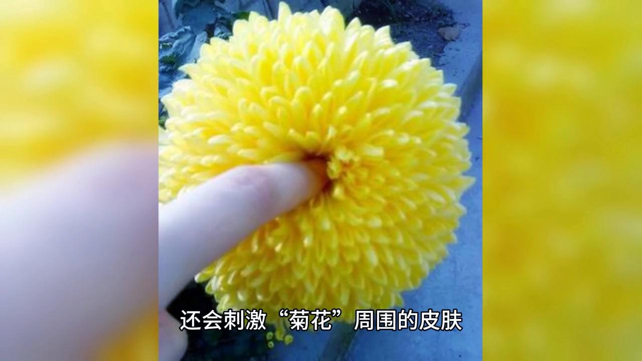 你真的了解自己的优势吗,你真的了解自己的皮肤吗