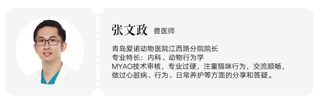 猫咪上火的症状和治疗方法,猫咪嘴巴上火起泡怎么快速消除