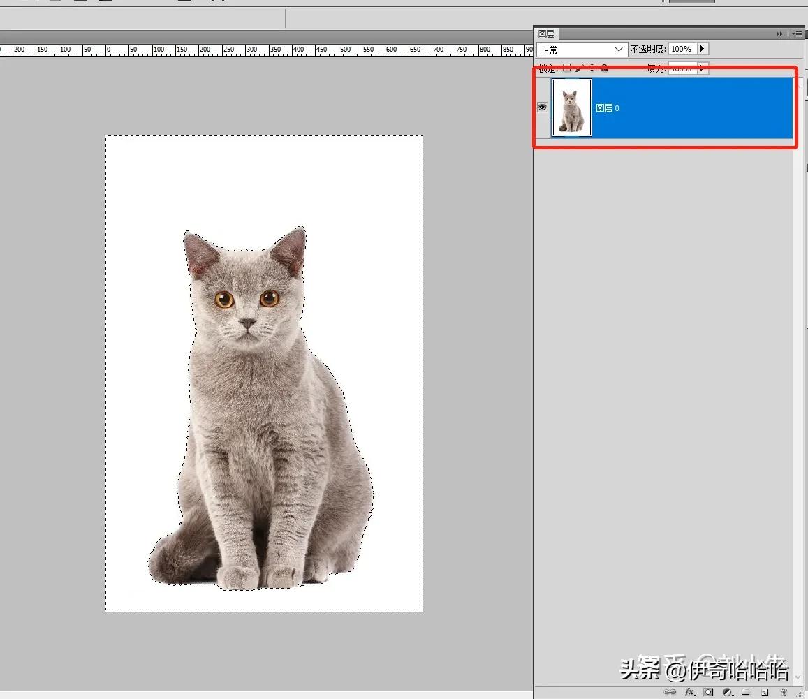 photoshop魔棒的技巧,套索工具和魔棒工具的用法