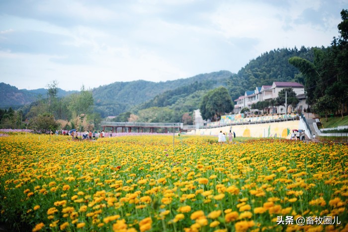圣农集团千亿产业集群,圣农集团的党建学习