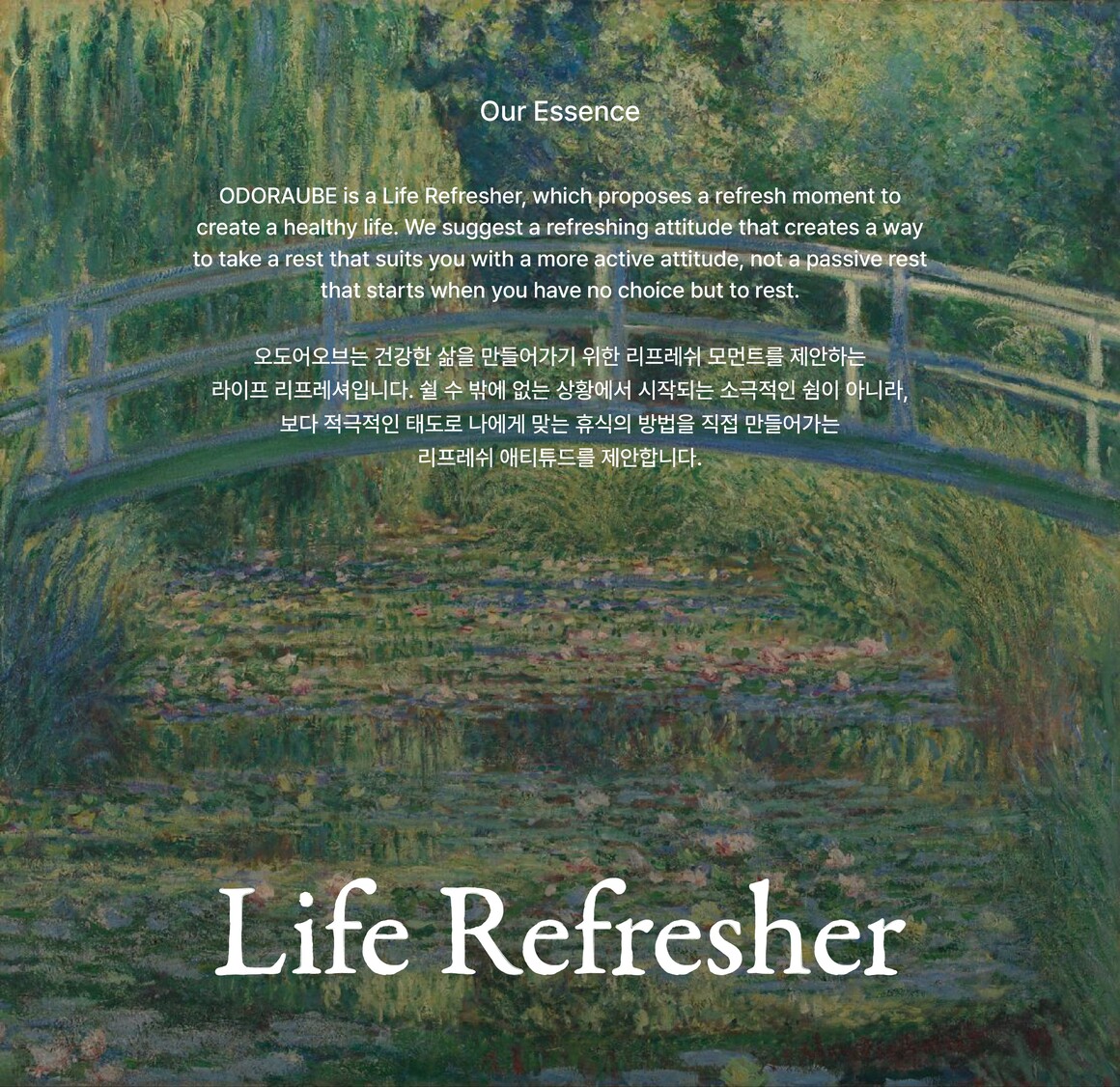 品牌logo包装设计插画,羽翼包装logo设计