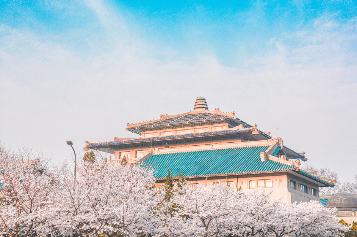 湖北大学录取排名一览表,湖北高考武汉大学排名