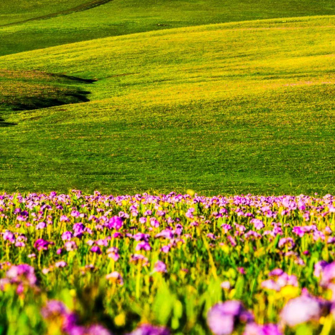 伊犁河谷一日游攻略,新疆伊犁环线5日游攻略