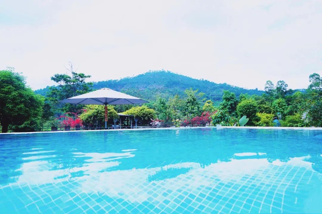 增城网红民宿别墅,增城最美花园亲子民宿