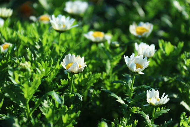 大姨妈量少怎么办,大姨妈来了怎么缓解疼痛