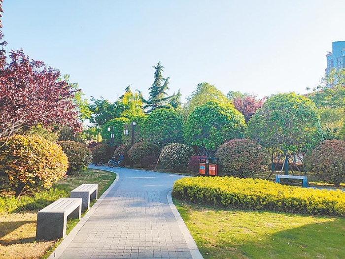 常务副市长作政府工作报告,市政府市长工作报告