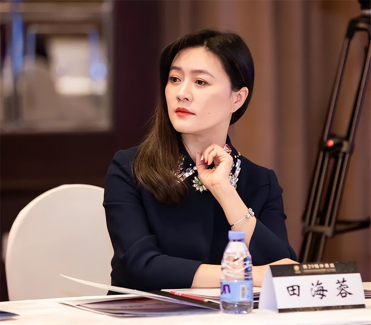 田海蓉是美女吗,田海蓉风韵