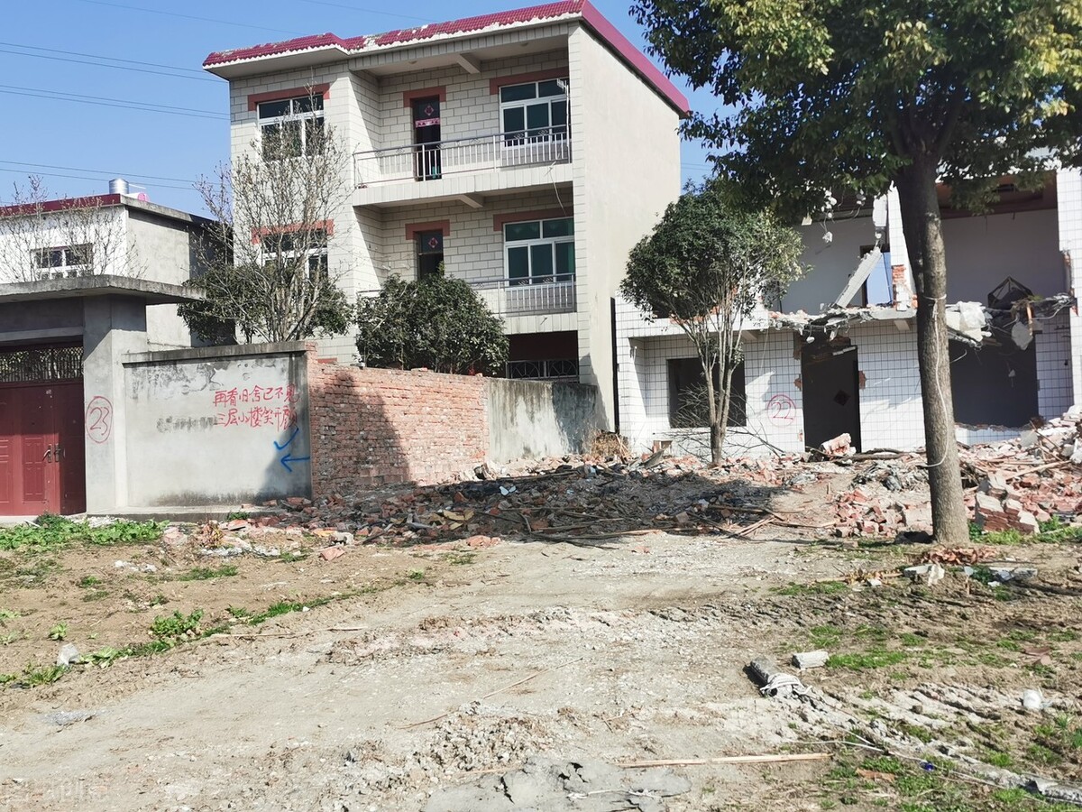 精神分裂症姐弟,精神分裂症女孩记录