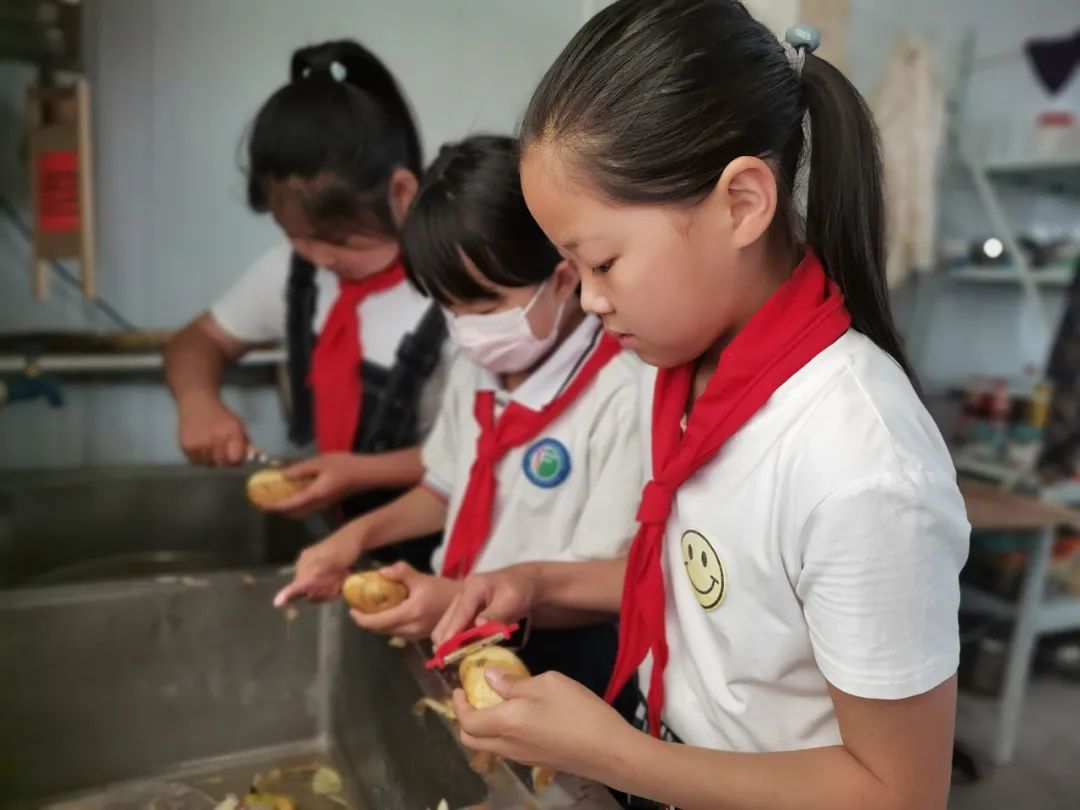 “土”露汗水“豆”耘童年——东风小学劳动教育实践活动之土豆丰收季