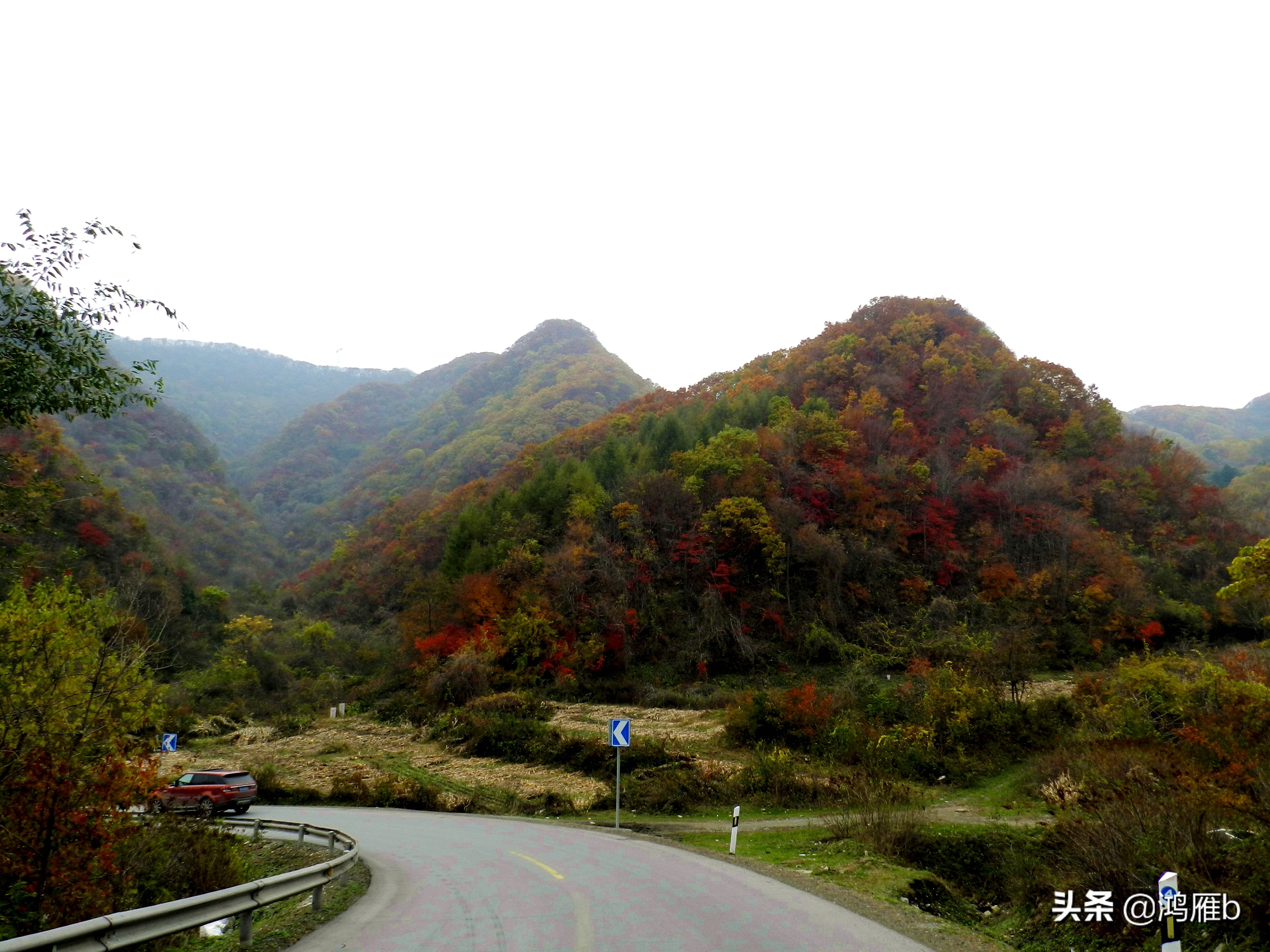 东北抗联的艰苦程度,抗联是不是最艰苦的