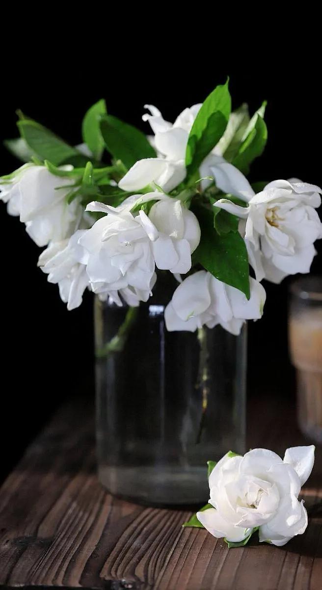 黑白花朵壁纸超清,全屏花朵壁纸无水印黑白