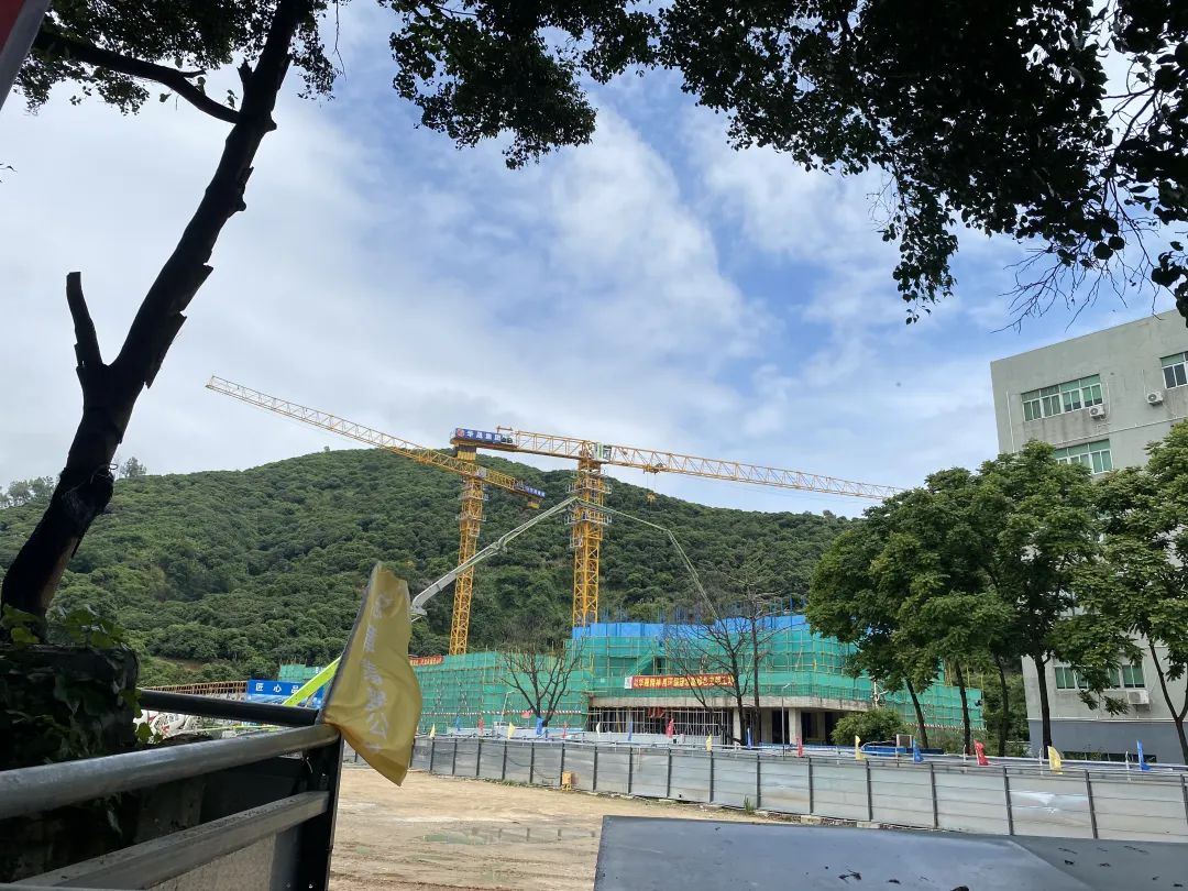 西丽新盘哪个好,西丽30多平新盘