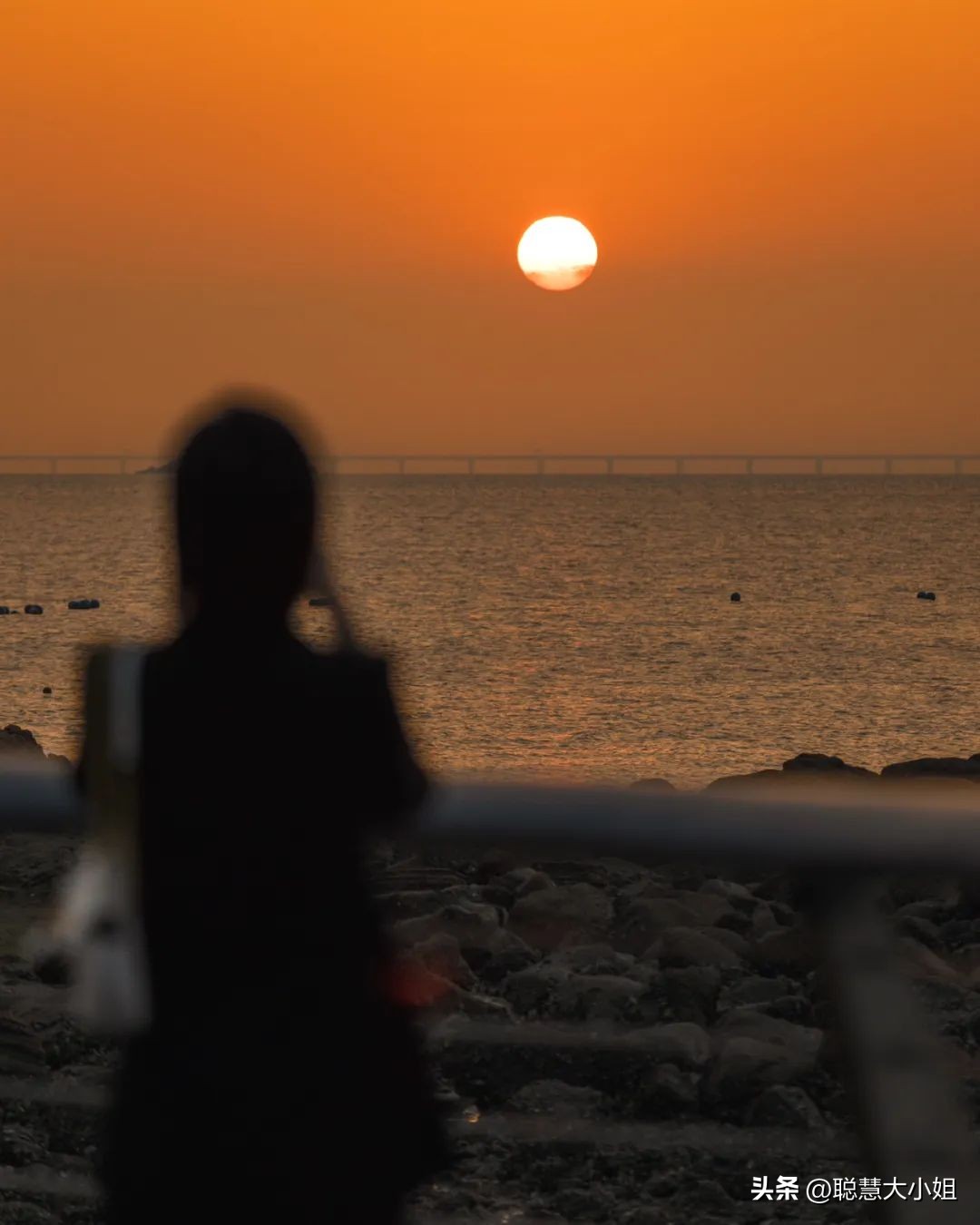 珠海被称为百岛之市浪漫之城,珠海百岛之城历史