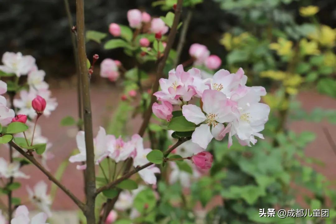 地铁3号线能到的美景地方,一号线地铁直达的风景