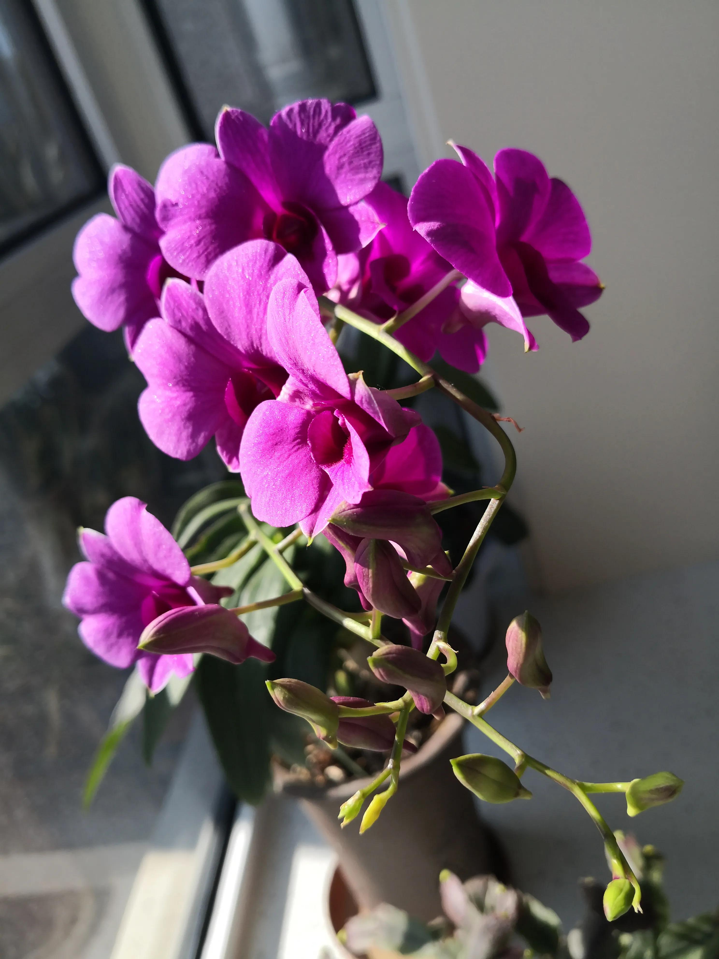 65年中国足球队名单,足球65:0