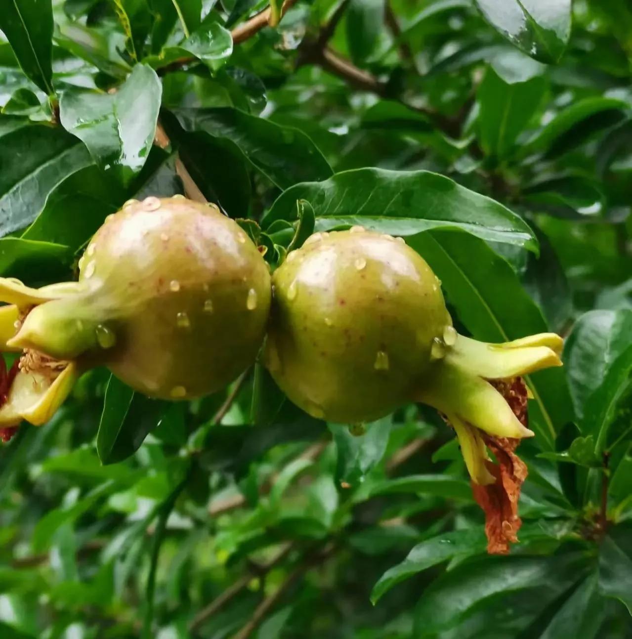 琳琳和朋友的视频,琳琳和她的朋友视频