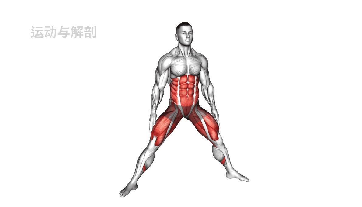 跑步之前热身视频,跑步前热身运动不伤膝盖