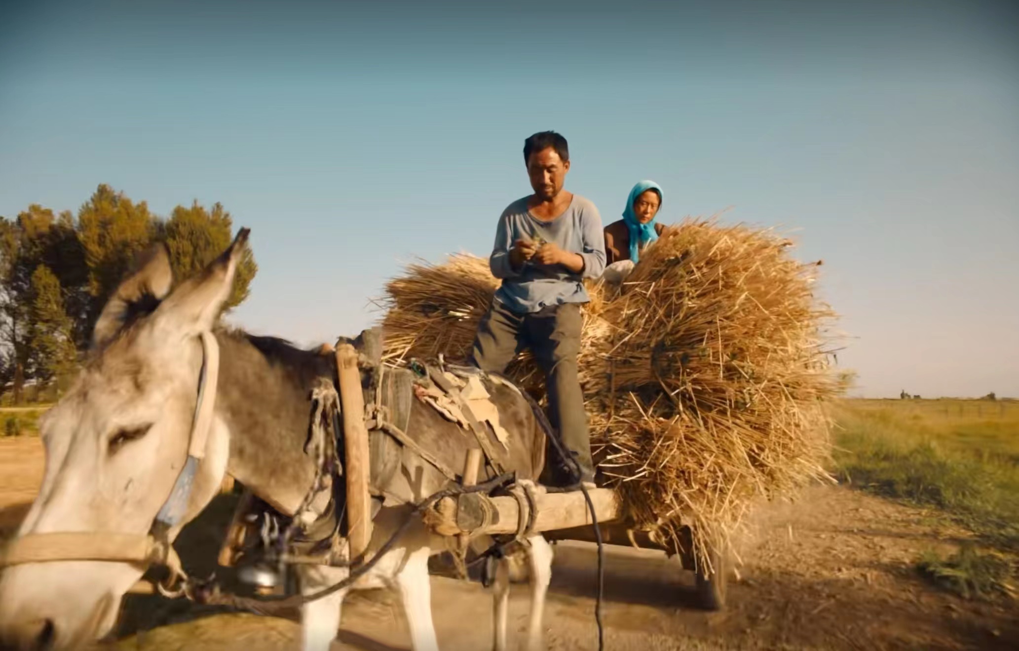 电影欣赏（六）《隐入尘烟》中的卑微人生