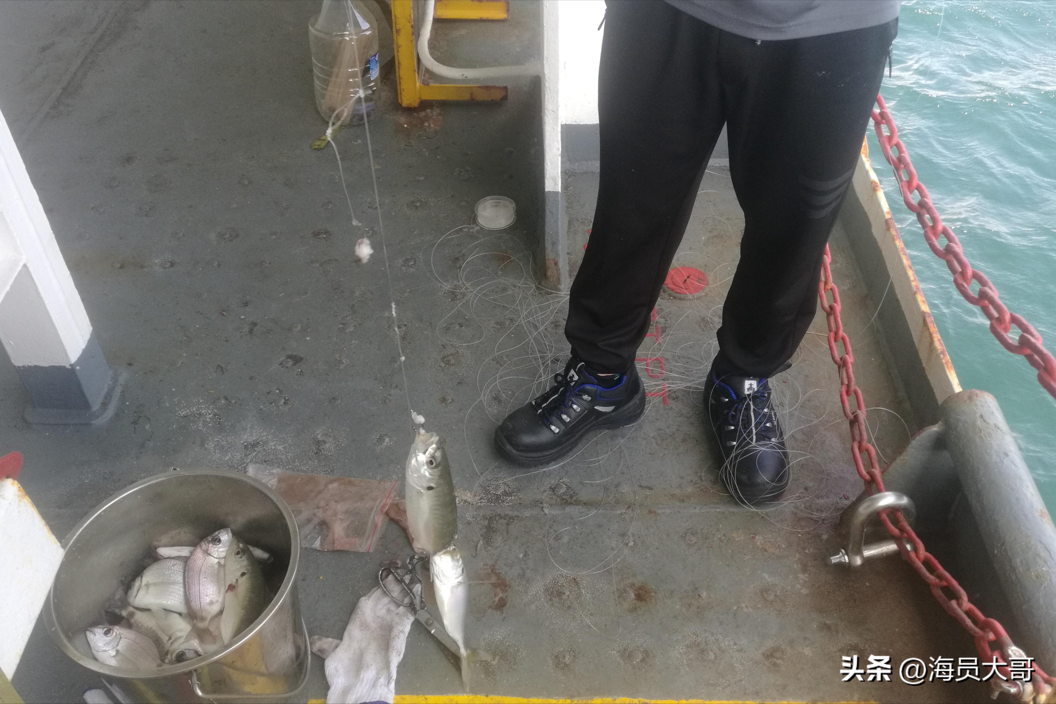 做海员每天都得工作,做海员服务好吗