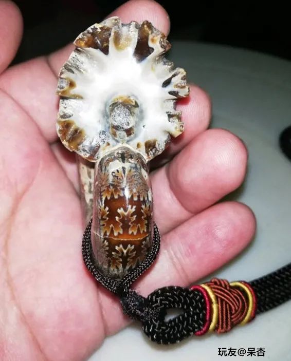 傻狍子角手把件,傻狍子的角掉了还能长出来吗